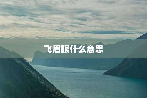 飞眉眼什么意思