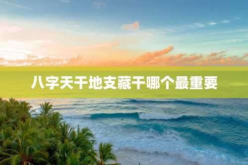 八字天干地支藏干哪个最重要