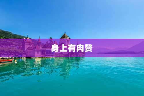 身上有肉赘