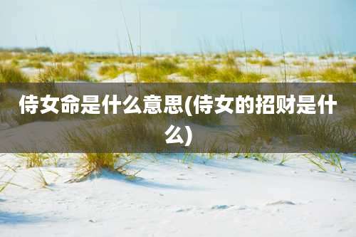 侍女命是什么意思(侍女的招财是什么)