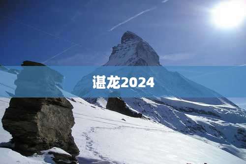 谌龙2024
