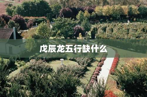 戊辰龙五行缺什么