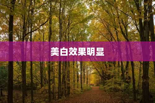 美白效果明显