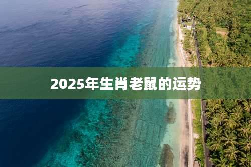 2025年生肖老鼠的运势