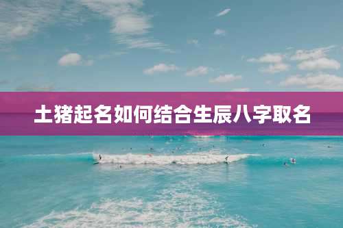 土猪起名如何结合生辰八字取名