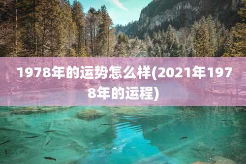 1978年的运势怎么样(2021年1978年的运程)
