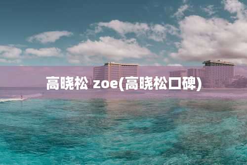 高晓松 zoe(高晓松口碑)