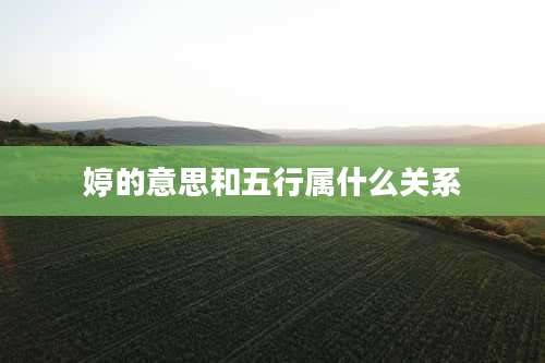 婷的意思和五行属什么关系