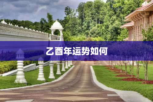 乙酉年运势如何