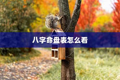 八字命盘表怎么看