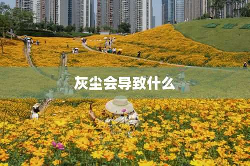 灰尘会导致什么