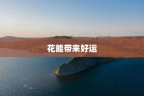 花能带来好运