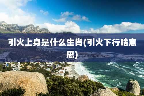 引火上身是什么生肖(引火下行啥意思)