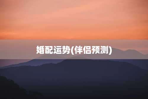 婚配运势(伴侣预测)