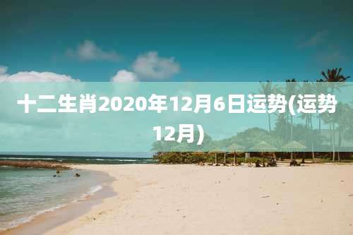 十二生肖2020年12月6日运势(运势12月)