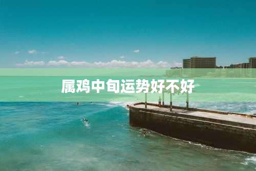 属鸡中旬运势好不好