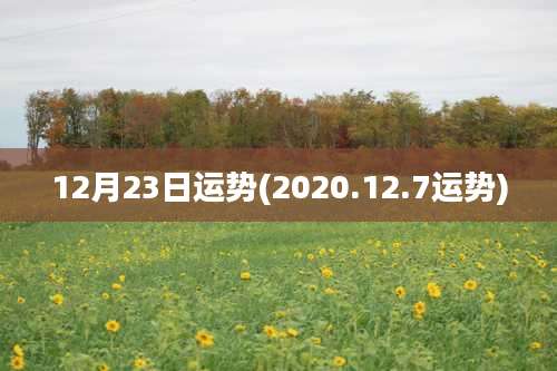 12月23日运势(2020.12.7运势)