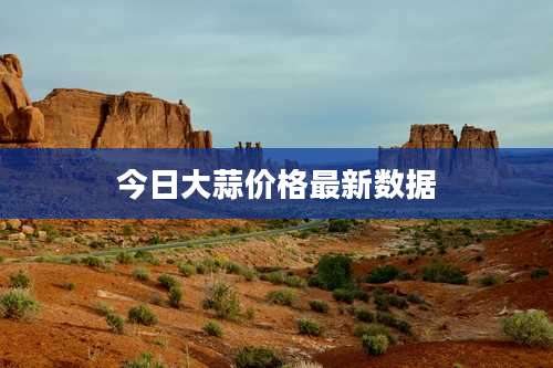 今日大蒜价格最新数据