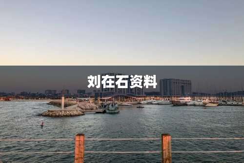 刘在石资料