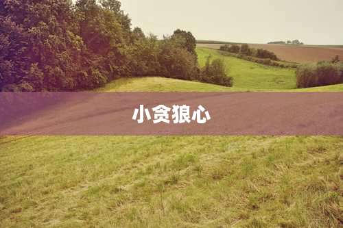 小贪狼心