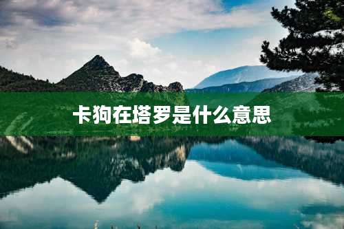 卡狗在塔罗是什么意思