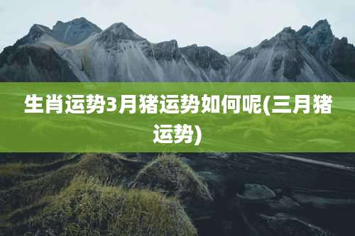 生肖运势3月猪运势如何呢(三月猪运势)