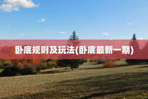 卧底规则及玩法(卧底最新一期)