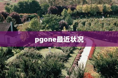 pgone最近状况