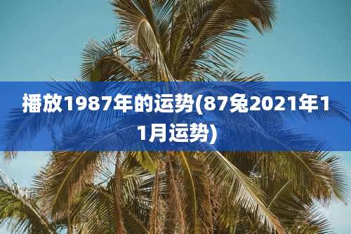 播放1987年的运势(87兔2021年11月运势)