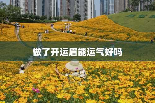 做了开运眉能运气好吗