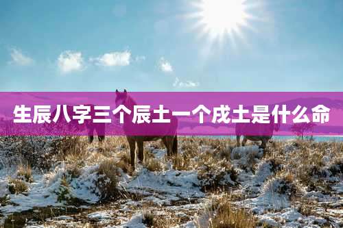 生辰八字三个辰土一个戌土是什么命