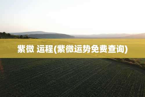 紫微 运程(紫微运势免费查询)