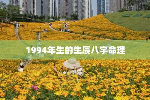 1994年生的生辰八字命理