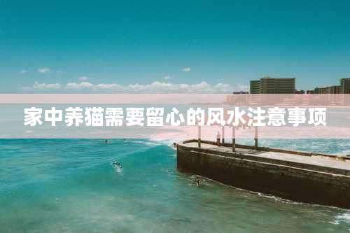 家中养猫需要留心的风水注意事项