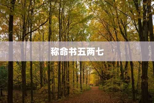 称命书五两七
