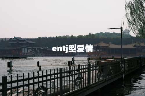 entj型爱情