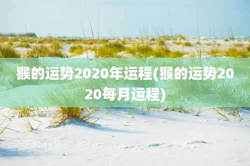 猴的运势2020年运程(猴的运势2020每月运程)