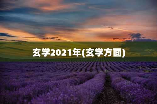玄学2021年(玄学方面)