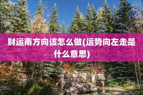 财运南方向该怎么做(运势向左走是什么意思)