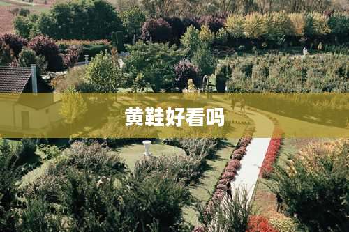 黄鞋好看吗