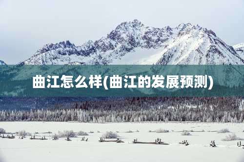 曲江怎么样(曲江的发展预测)