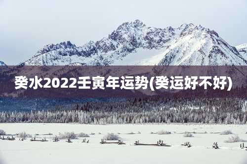 癸水2022壬寅年运势(癸运好不好)