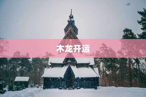木龙开运