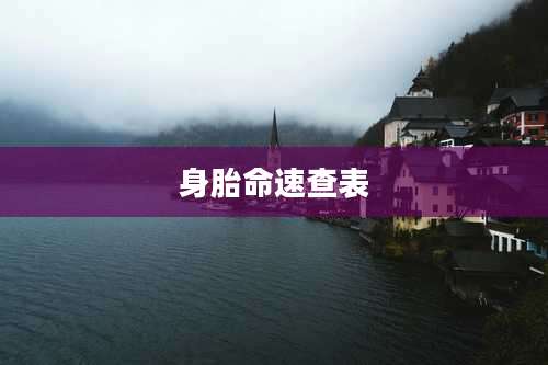 身胎命速查表