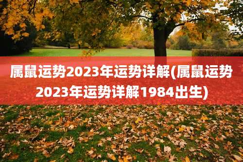 属鼠运势2023年运势详解(属鼠运势2023年运势详解1984出生)
