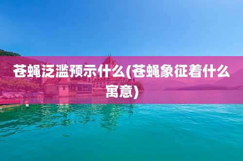 苍蝇泛滥预示什么(苍蝇象征着什么寓意)