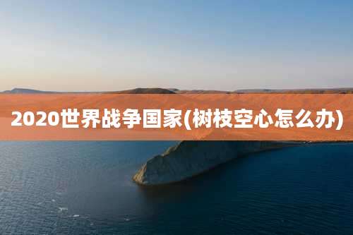 2020世界战争国家(树枝空心怎么办)