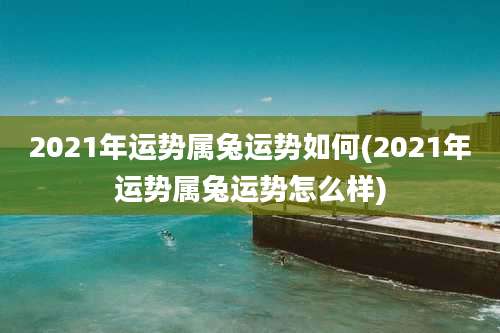 2021年运势属兔运势如何(2021年运势属兔运势怎么样)