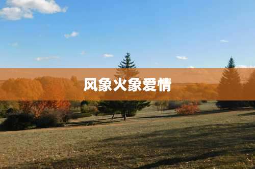 风象火象爱情