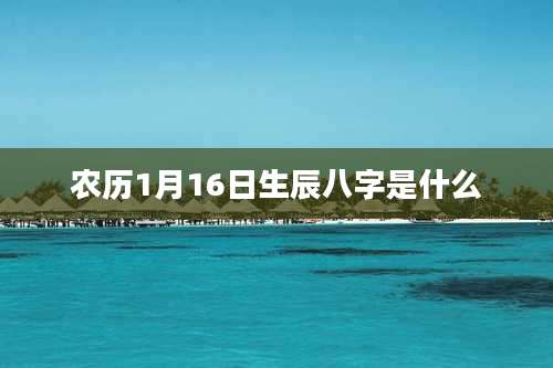 农历1月16日生辰八字是什么